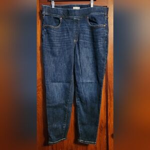 Lane Bryant Indigo Denim Jeans